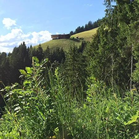 Wellnessappartements Margit Apartmán *