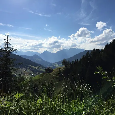 Lägenhet Wellnessappartements Margit Alpbach