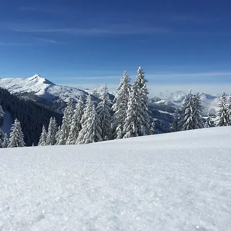 Wellnessappartements Margit Lägenhet *