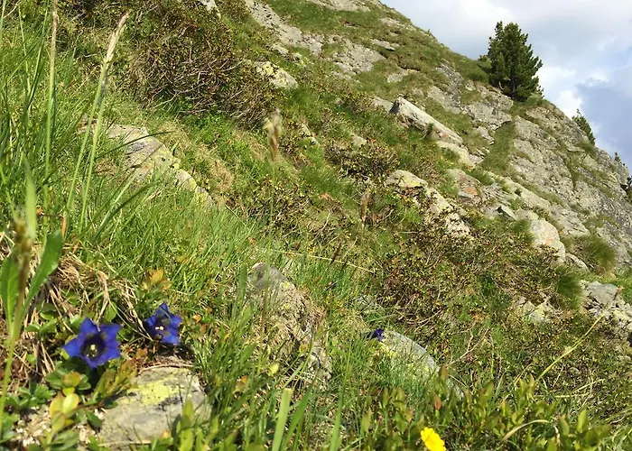 Wellnessappartements Margit