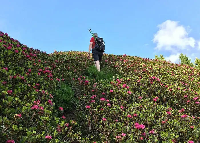 Wellnessappartements Margit Apartament *