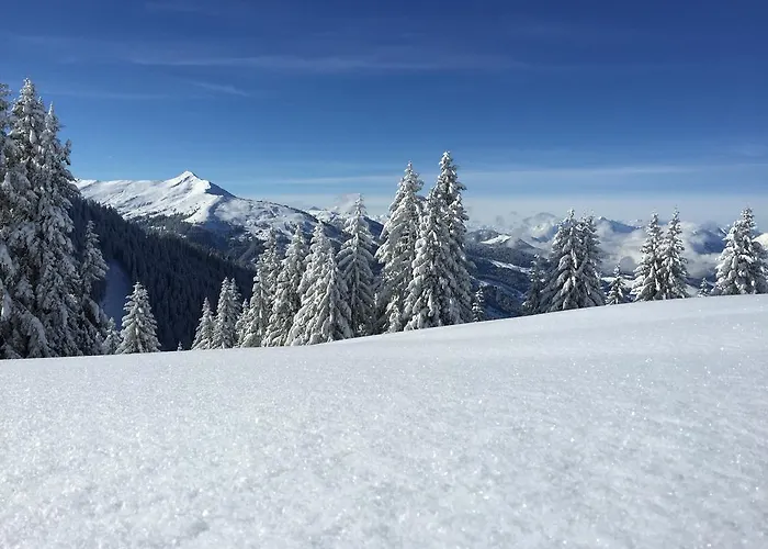 Wellnessappartements Margit Apartament *