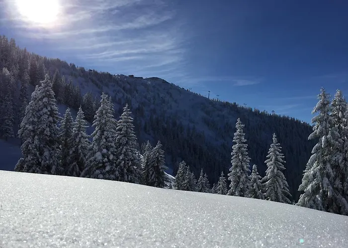 Apartament Wellnessappartements Margit *