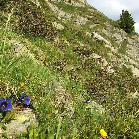 Wellnessappartements Margit