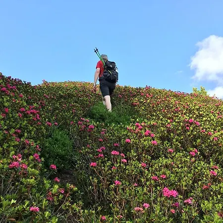 Wellnessappartements Margit Διαμέρισμα *