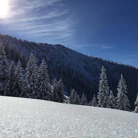 Διαμέρισμα Wellnessappartements Margit *